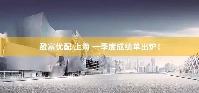 盈富优配 上海 一季度成绩单出炉！