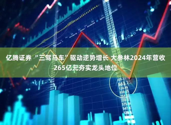 亿腾证券 “三驾马车”驱动逆势增长 大参林2024年营收265亿元夯实龙头地位