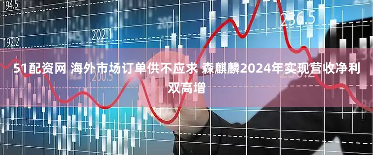 51配资网 海外市场订单供不应求 森麒麟2024年实现营收净利双高增