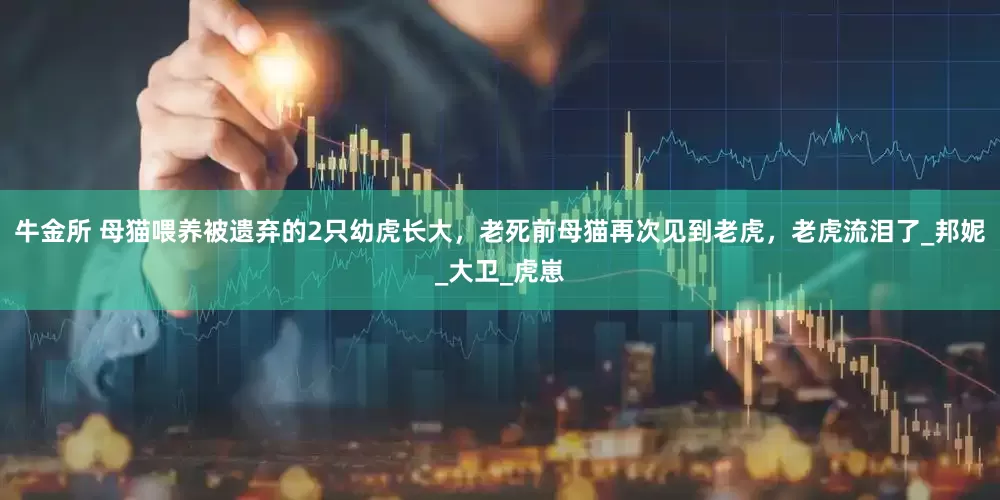 牛金所 母猫喂养被遗弃的2只幼虎长大，老死前母猫再次见到老虎，老虎流泪了_邦妮_大卫_虎崽