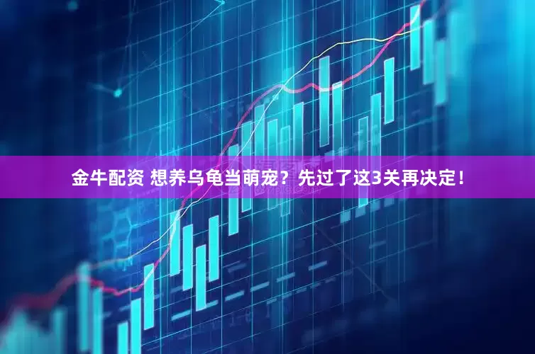 金牛配资 想养乌龟当萌宠？先过了这3关再决定！