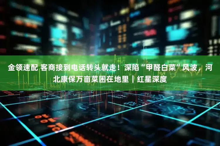 金领速配 客商接到电话转头就走！深陷“甲醛白菜”风波，河北康保万亩菜困在地里｜红星深度